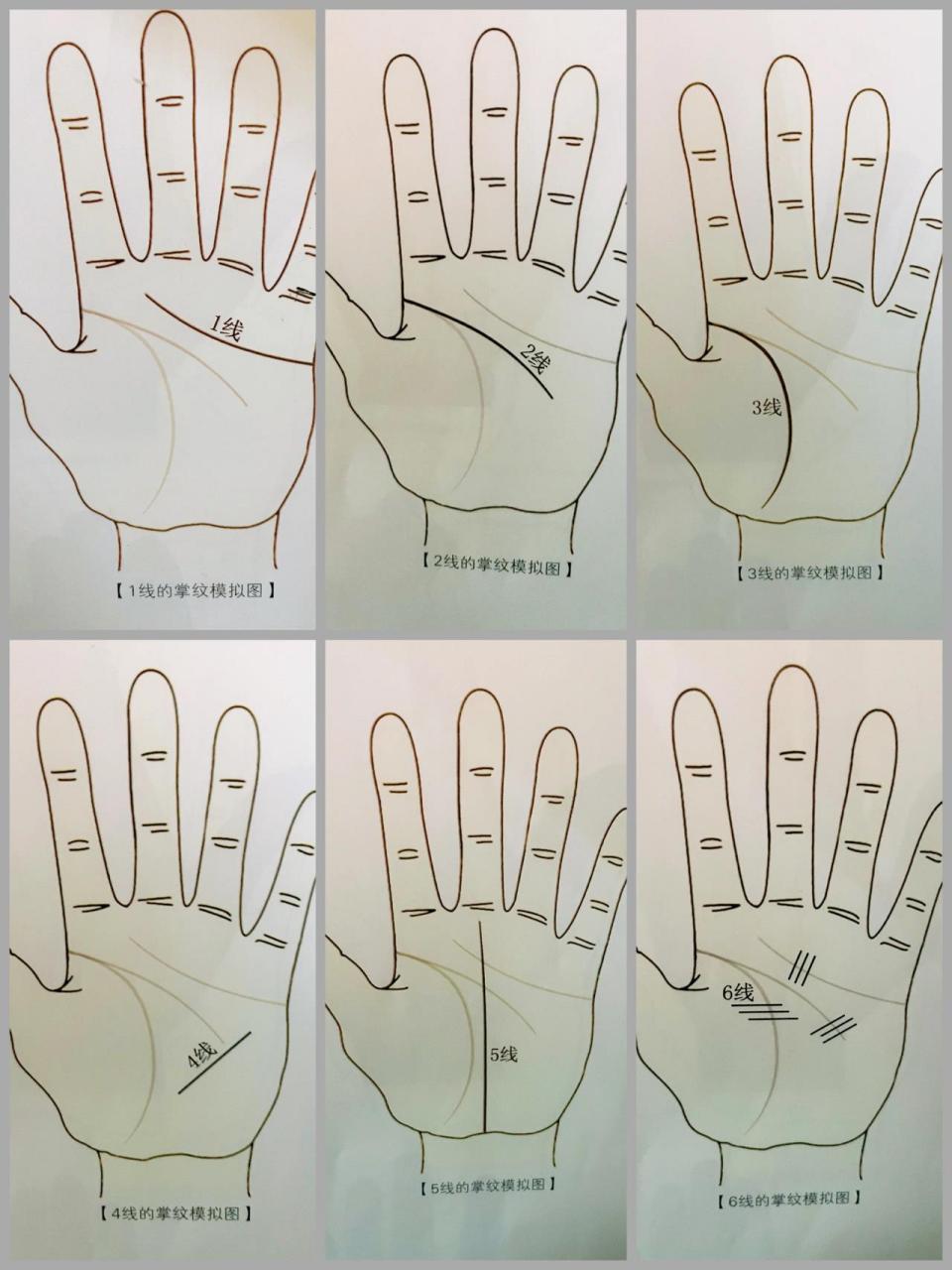 我们一起学手诊 1线: 1,起于手掌尺侧,小指掌指褶纹下1.5-2厘米处.