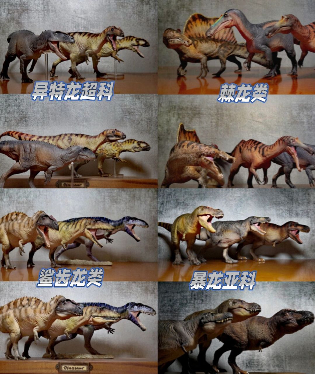 十二只兽脚类肉食恐龙 图二:中华盗龙,异特龙,永川龙,永川龙属于早期