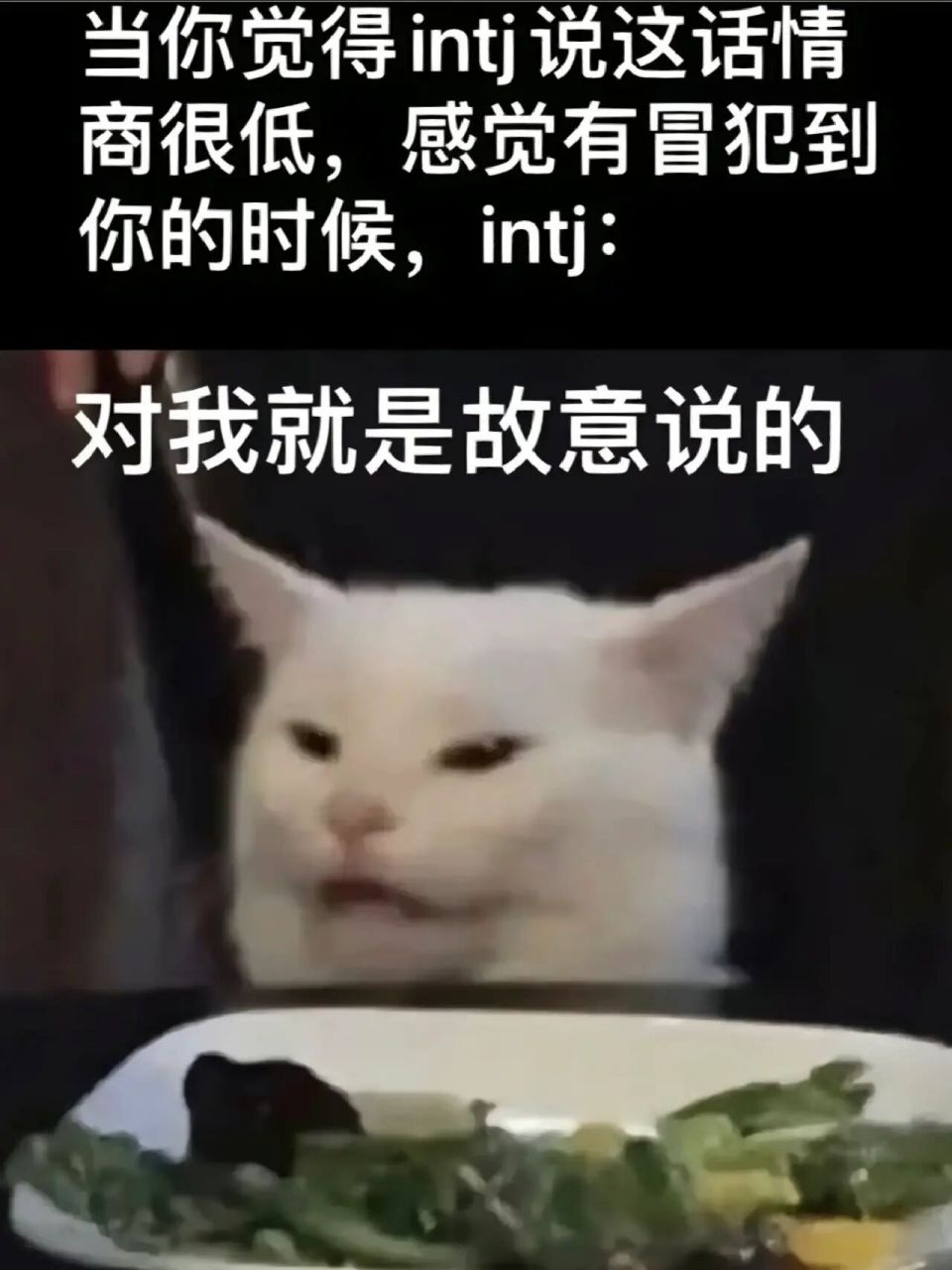 intj|愛情|梗圖 