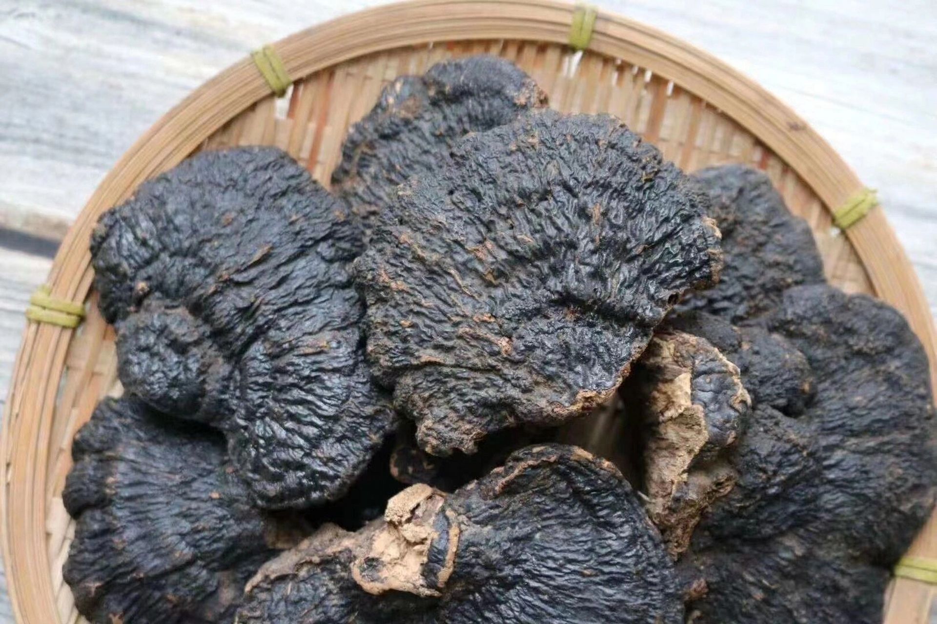 野生薄树灵芝 【野生薄树灵芝】 野生薄树芝不苦,醇香,养肝,排毒,安神