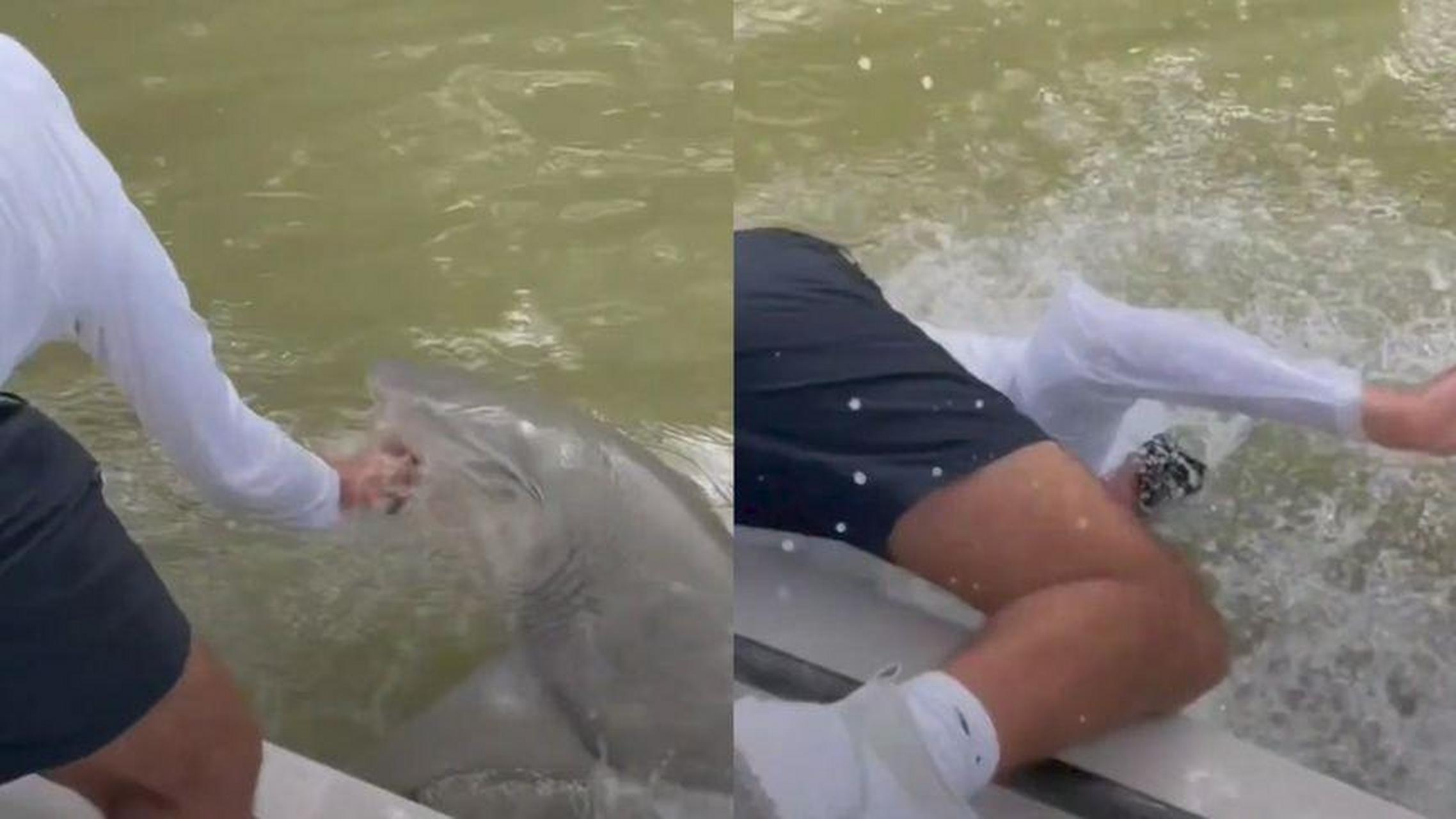 【男子捕鱼不顾警告洗手,下秒被鲨鱼咬手拖下水,危急关头转机发生】