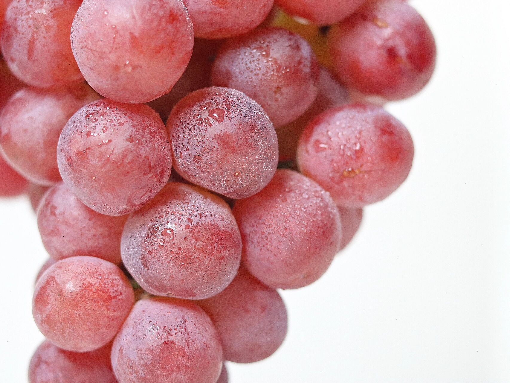 静物摄影|提子 - 水灵灵的大提子