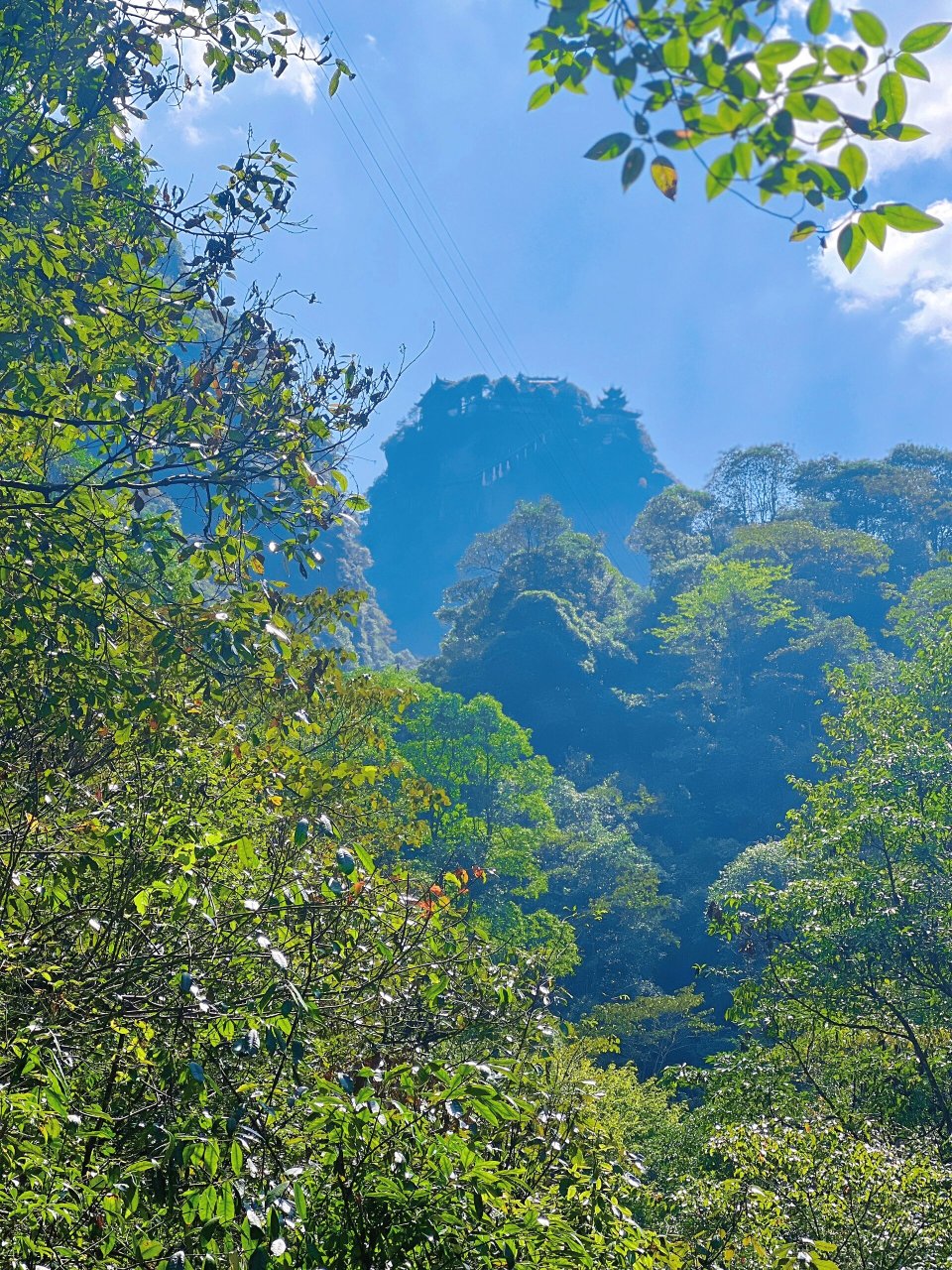 "江南小九寨"武义牛头山9672一日游 96牛头山被誉为"金华八婺第