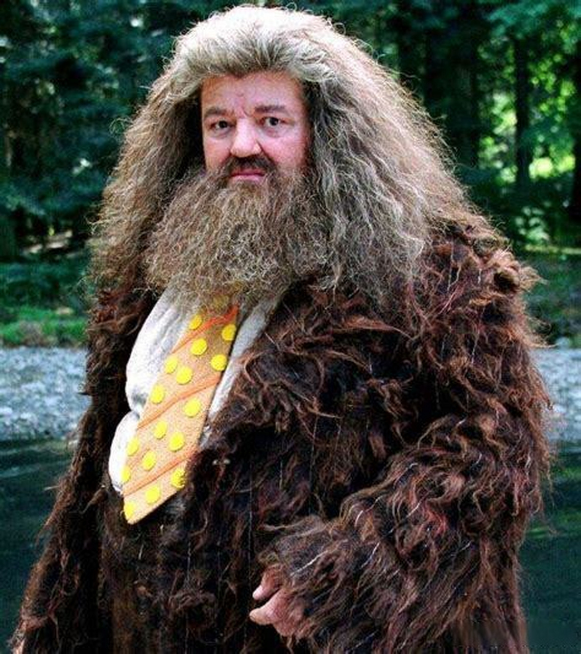 【#哈利波特海格扮演者去世#】10月15日,据外媒,在《哈利波特》系列中