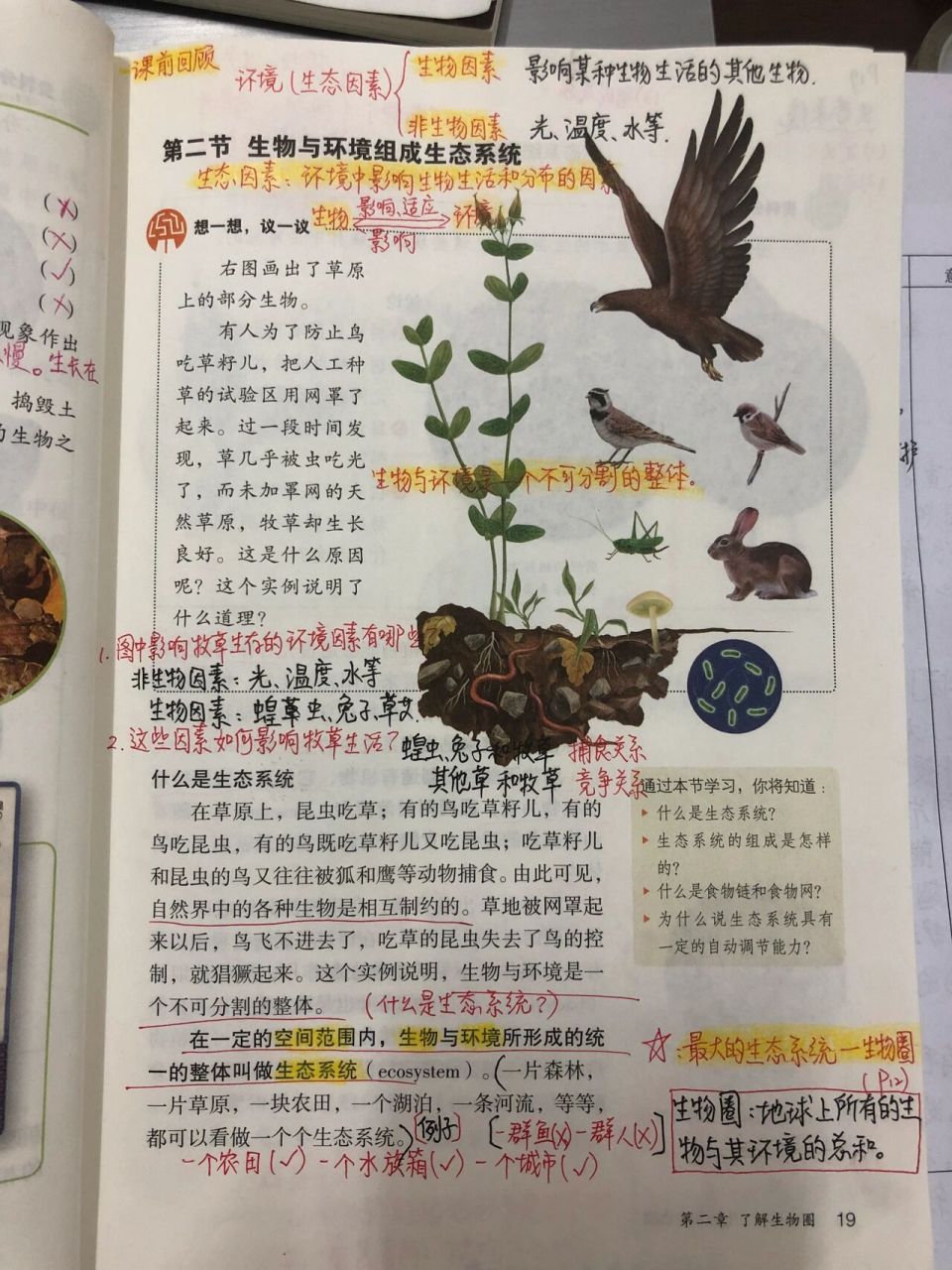 七上生物书图片