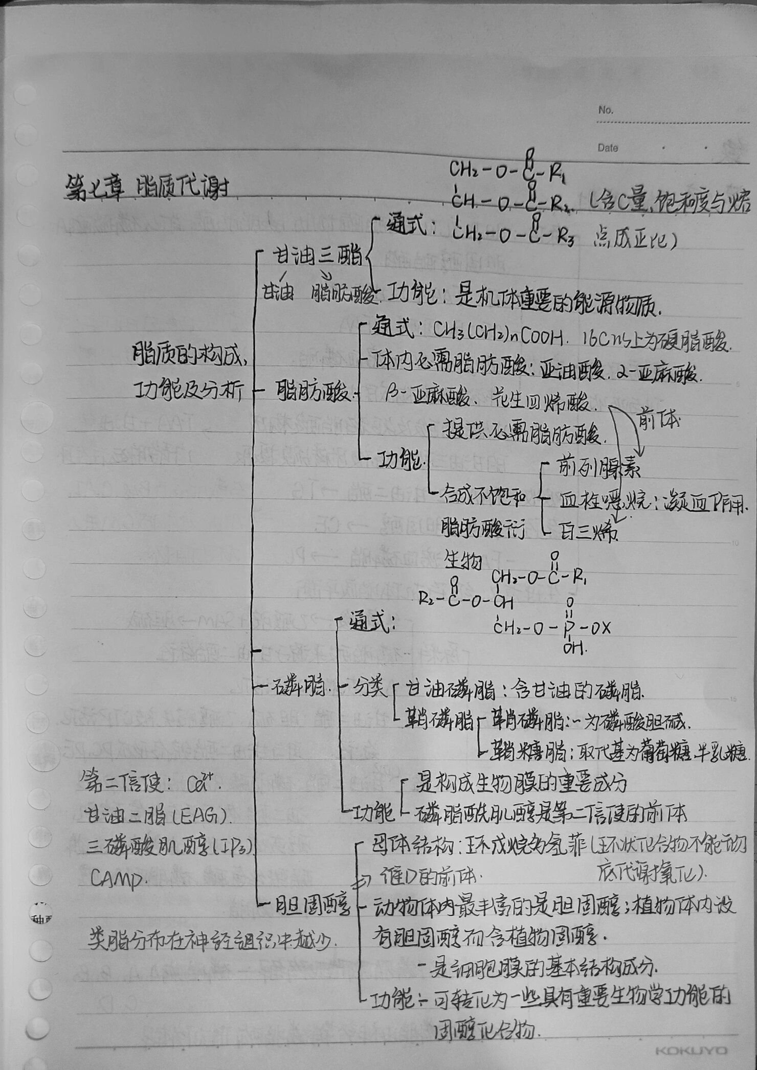 生化 脂质代谢思维导图来啦