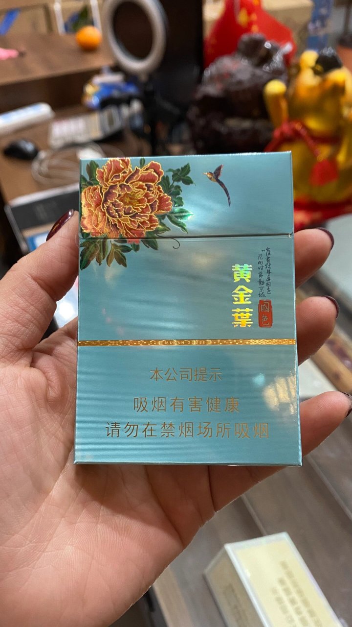 突击检查 黄金叶国色天香双中支