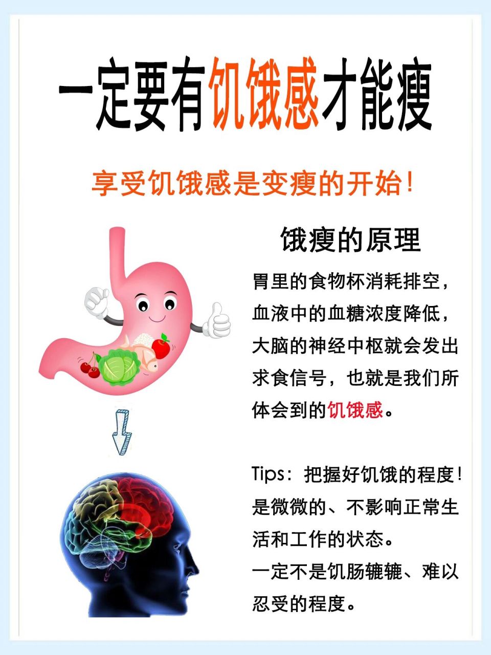 当你感觉到饿的时候,身体才会慢慢开始消耗脂肪为身体供能.