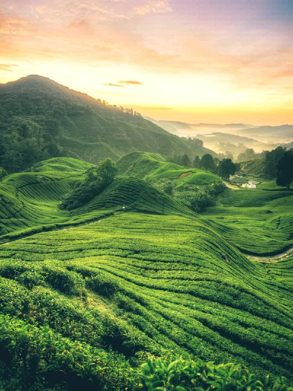 用山水图片做头像和背景怎么样?