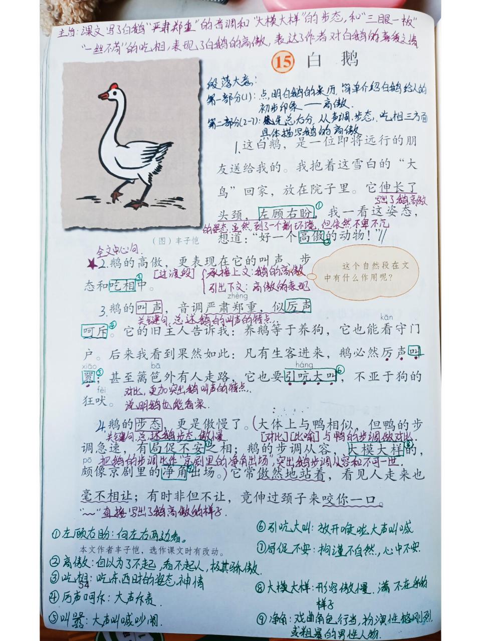 四年级下册语文15课《白鹅》丰子恺附习题解答