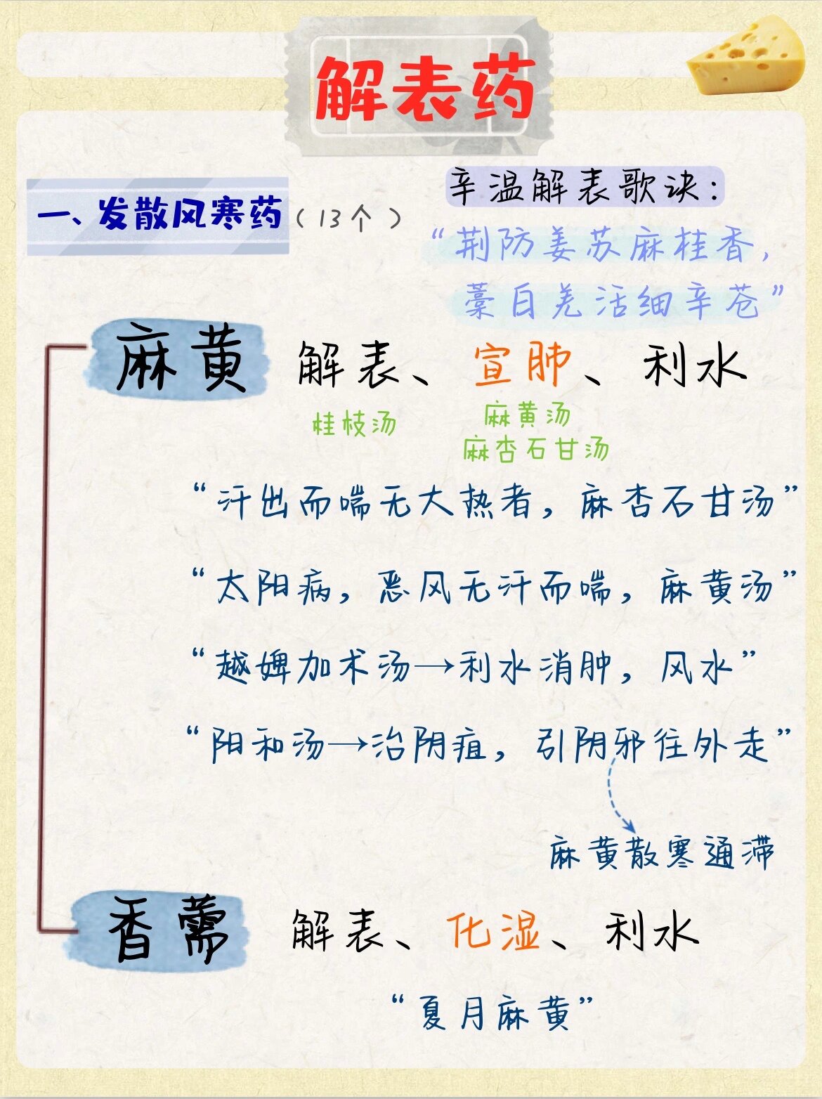 中药——解表药 发散风寒药(辛温解表药)