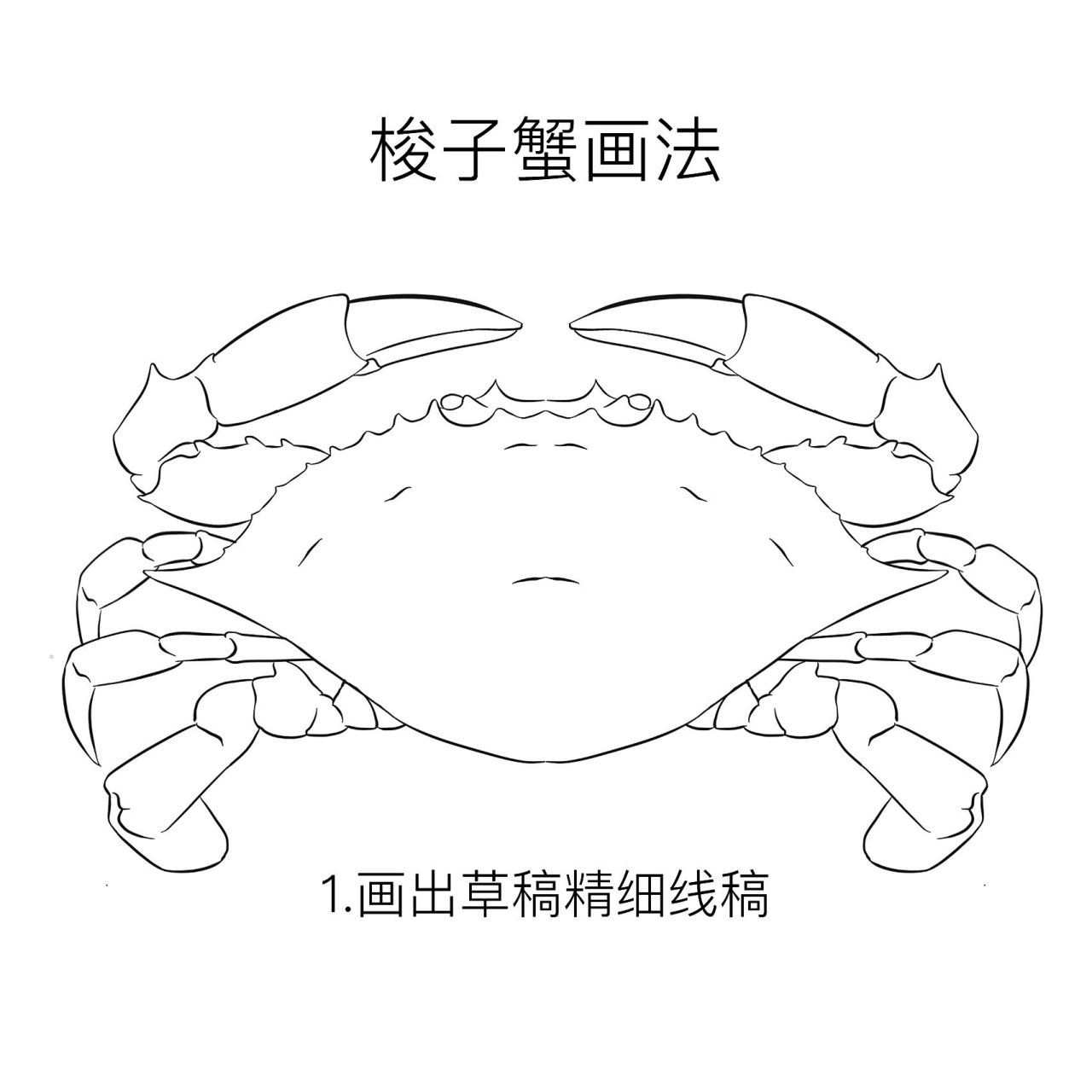 海鲜梭子蟹画法|绘画教程