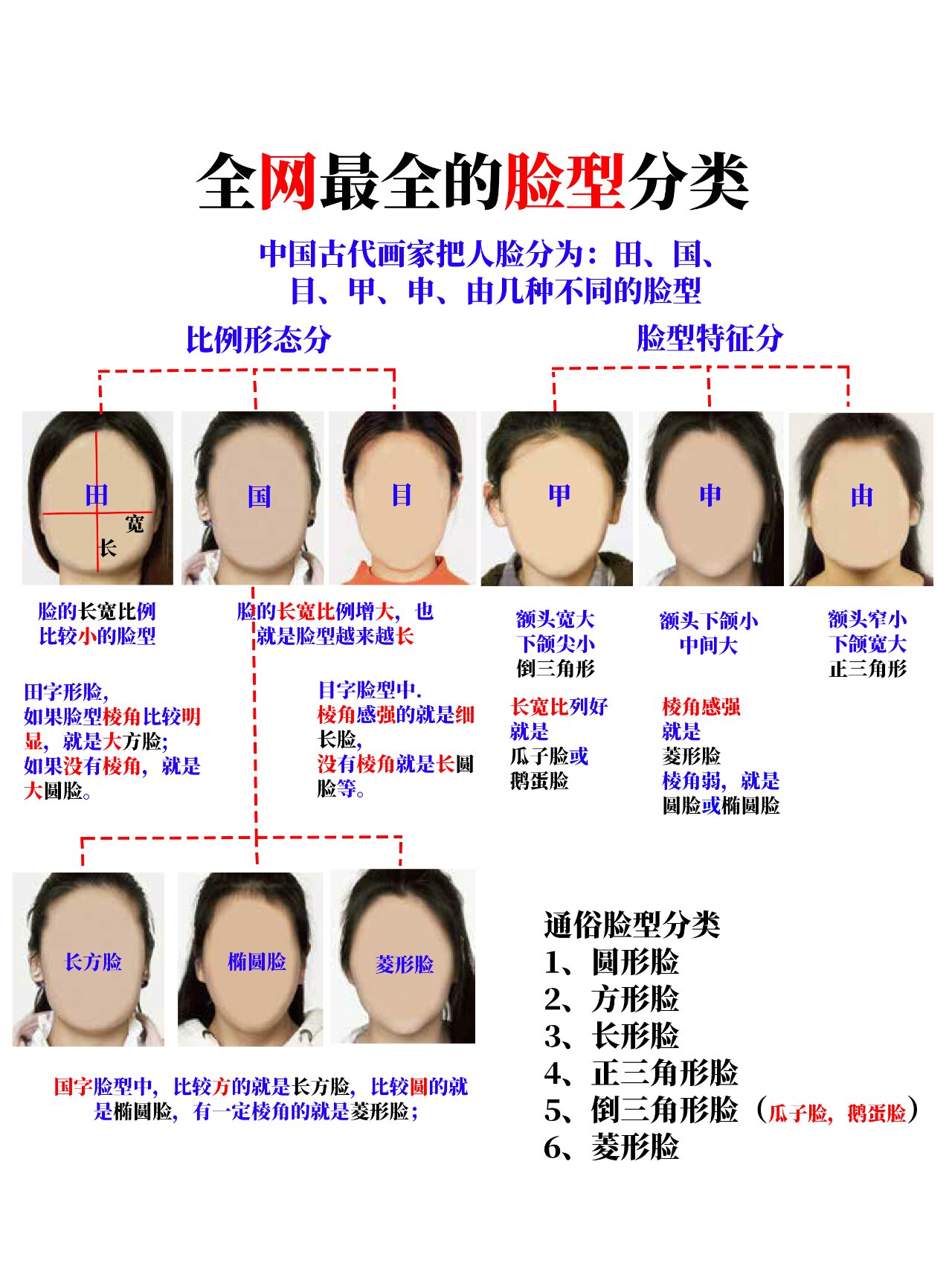 脸型甲目申由图片