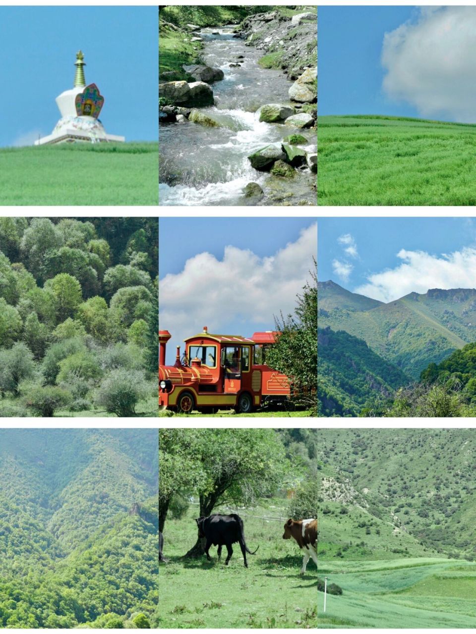 兰州吐鲁沟国家森林公园 如果你也喜欢浪漫,这里并非寸草不生98.