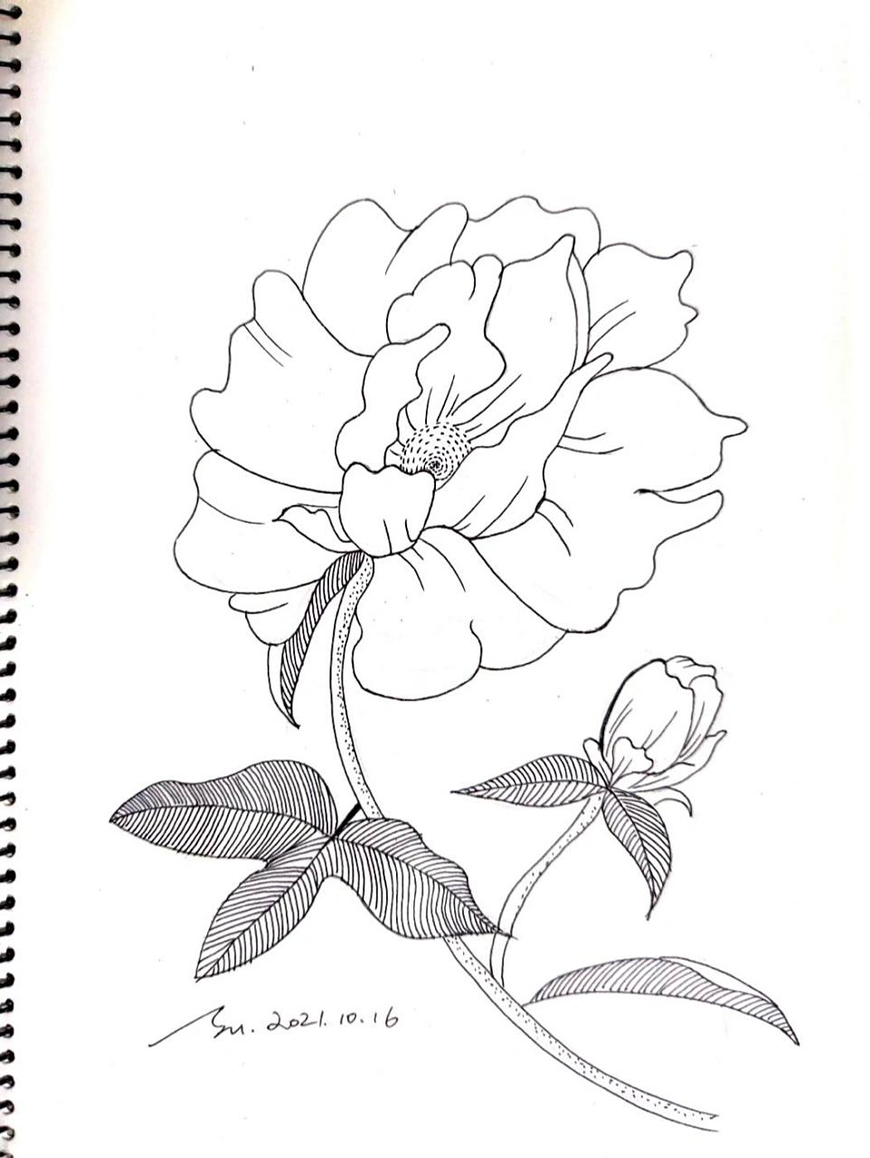 中国国花~【牡丹】步骤图 今天花艺课结业考试,正好来认识下牡丹花.