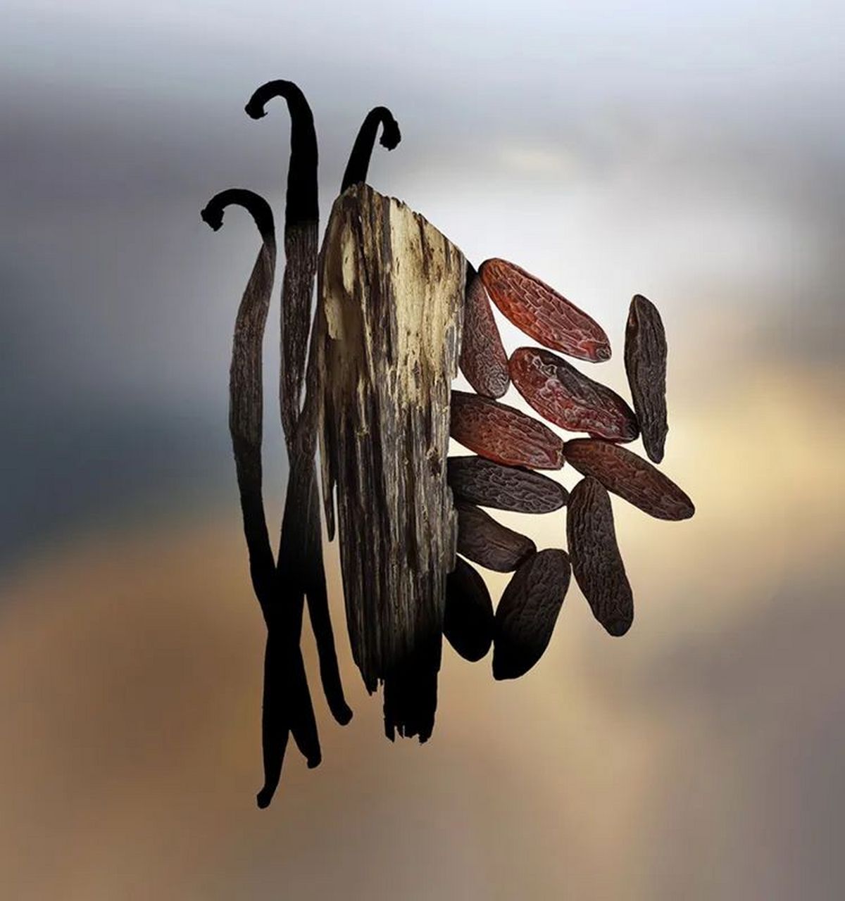 keiko mecheri 珍奇森林——美食木质调 ★★★ keiko mecheri不知道