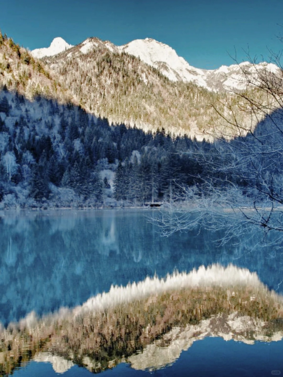 98  76九寨沟,冰雪世界宛如童话!