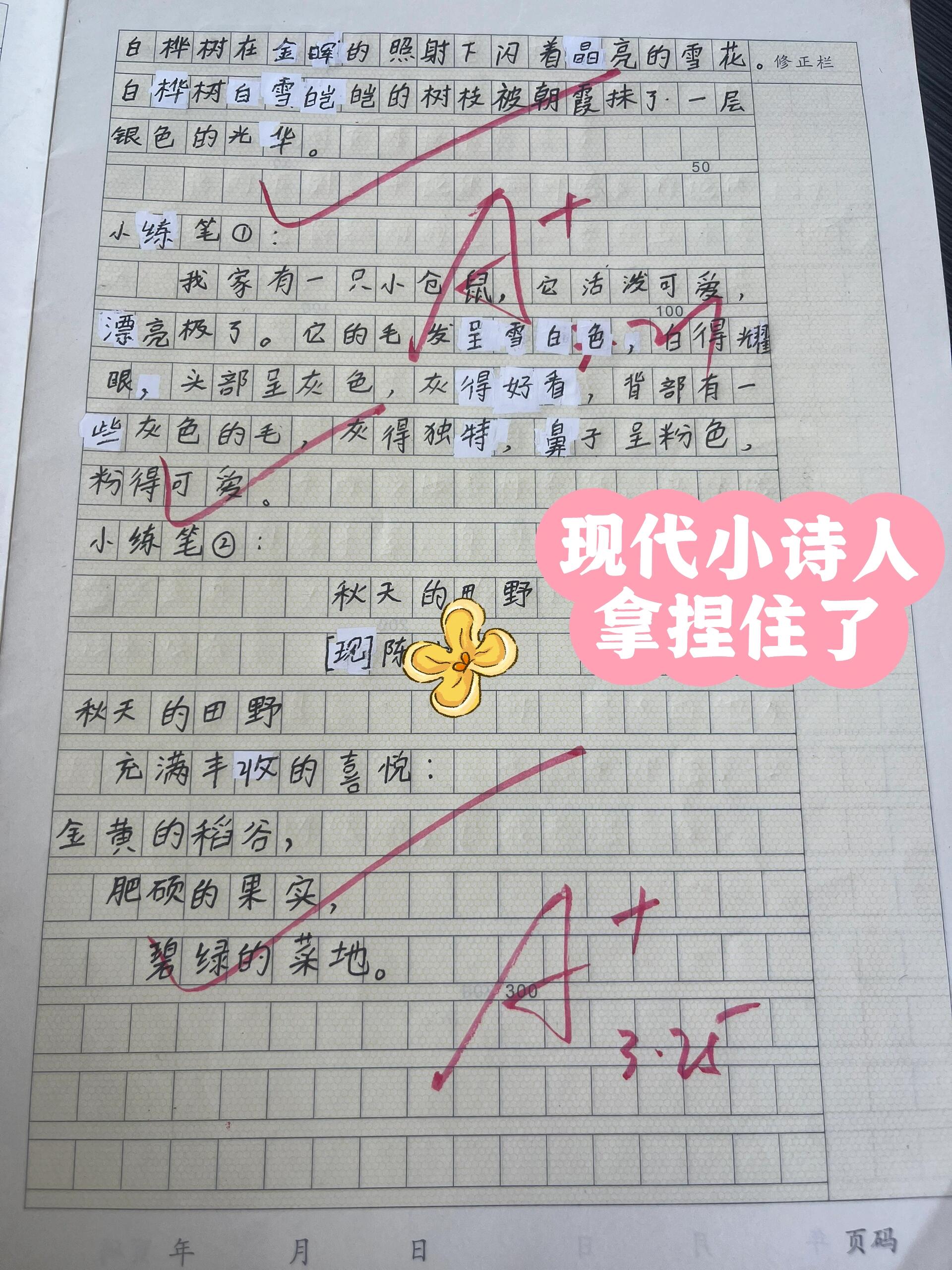 四下:语文园地三仿写小练笔