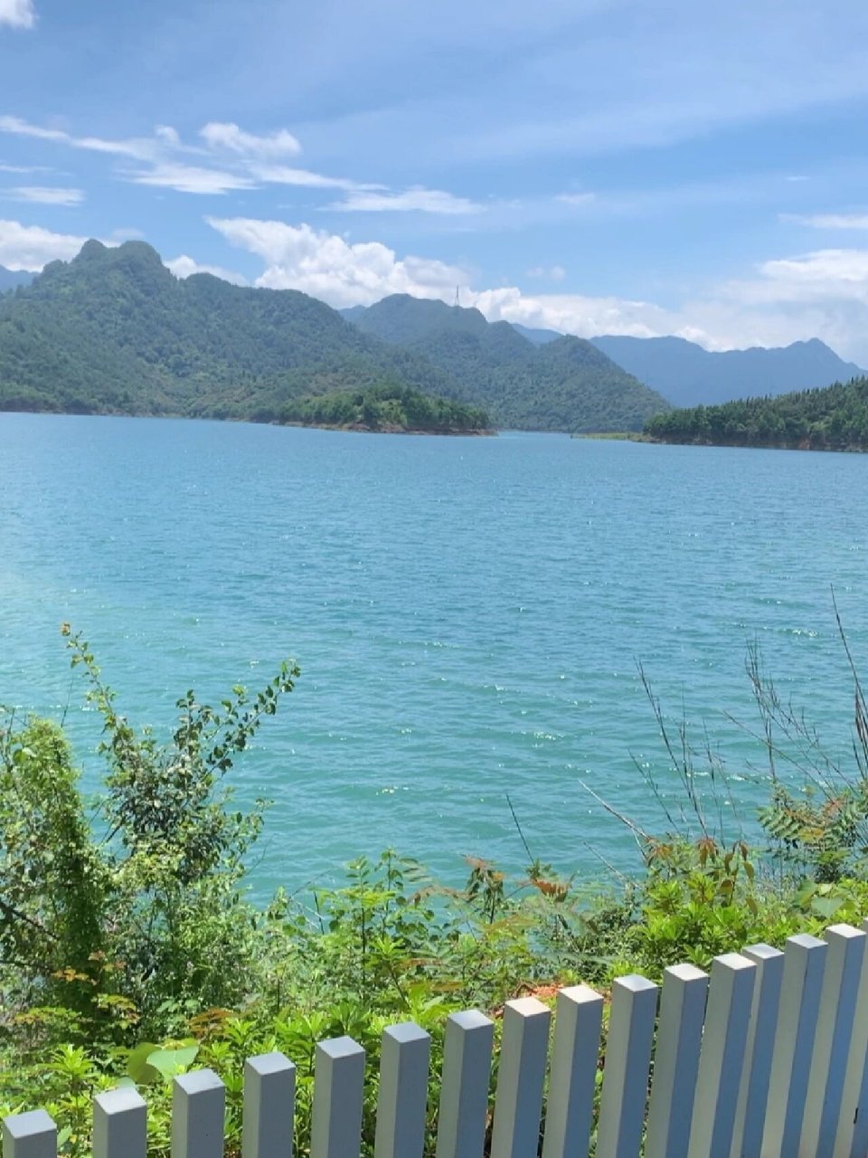 乳源南水湖湿地公园 树木很茂盛,水很清澈,蓝天白云,心驰神往 #湿地