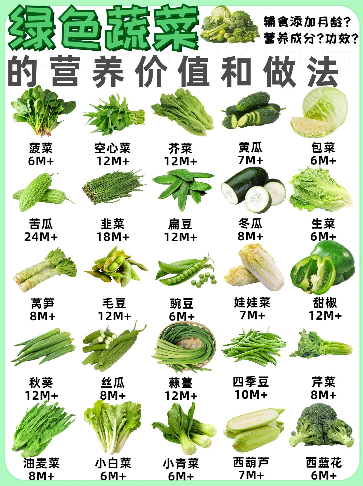 【常见绿色蔬菜】营养价值做法辅食添加