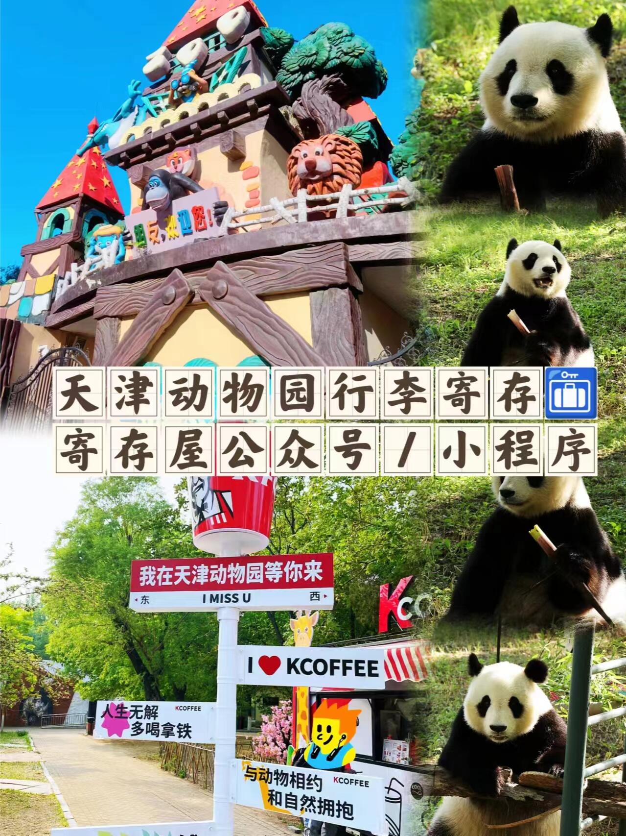 96 天津动物园 03|保姆级攻略97收藏 99 地址:位于天津市南开