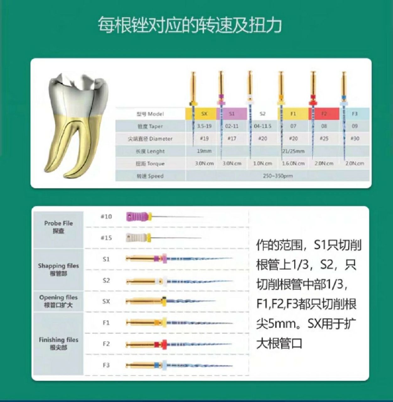 口腔车针图谱大全型号图片