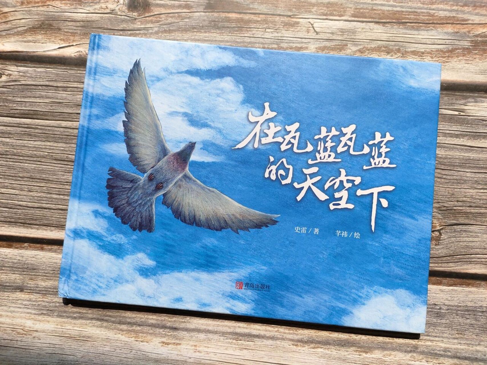 《在瓦蓝瓦蓝的天空下》 小男孩捡到一只小鸽子,精心照料起来.