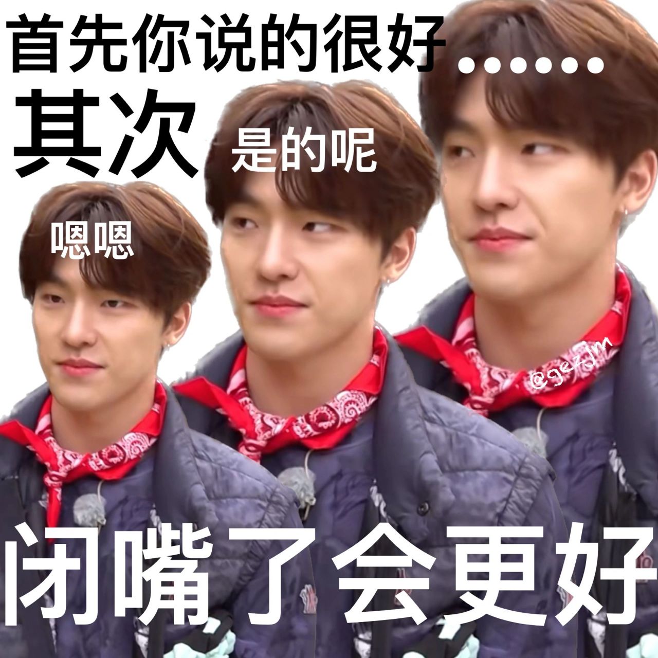 seventeen表情包第81566弹