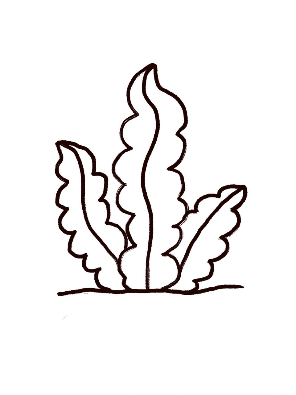 儿童简笔画——-海草简笔画线稿84 海草简笔画