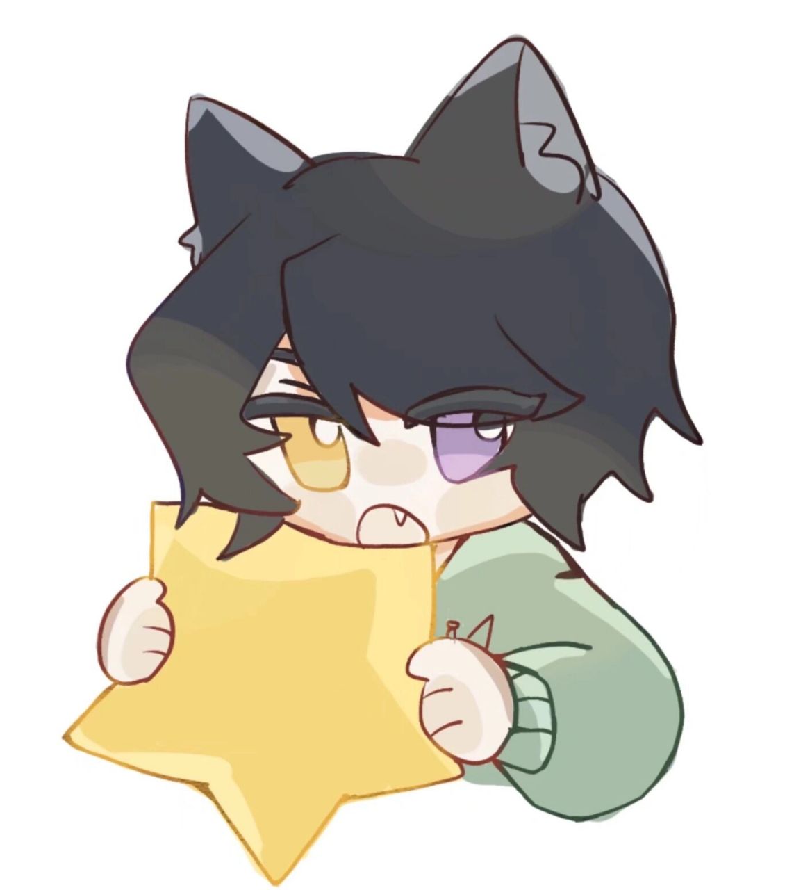 黑猫大少爷 猫猫tskr00 去年的一些