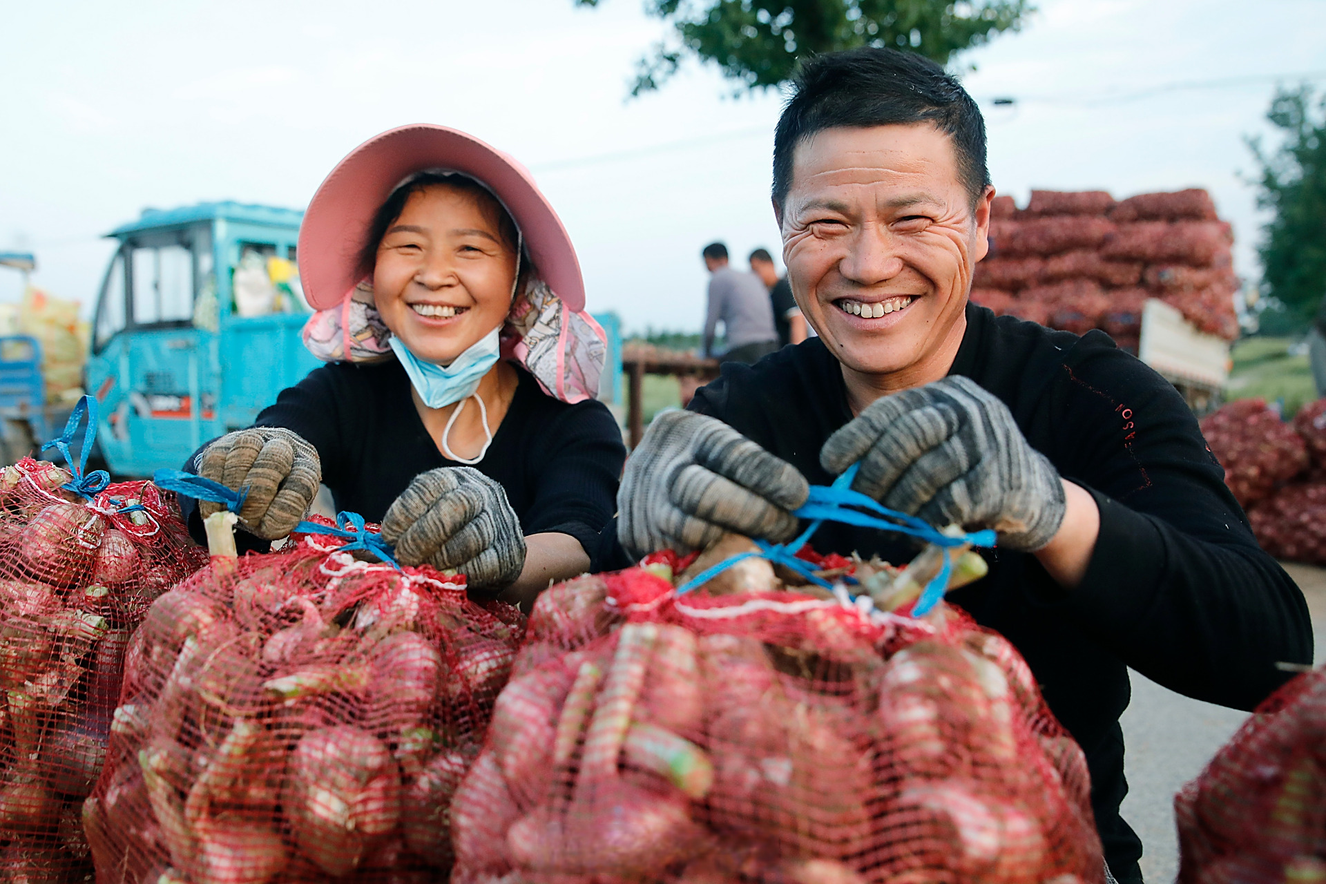 【大蒜丰收乐呵呵】又是一个丰收年.