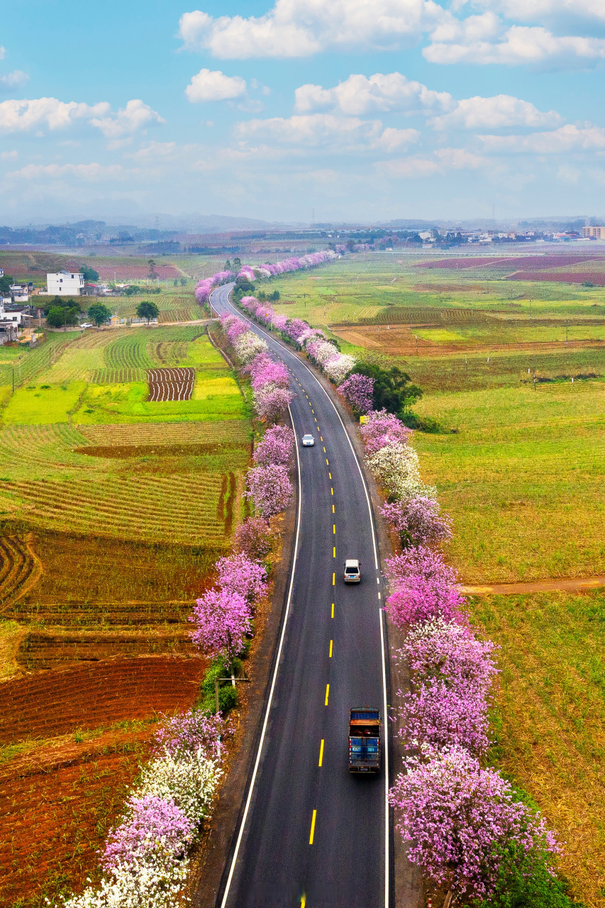 小通说早安# [心] 国道209线来宾市武宣县金鸡乡路段,国道357线柳州
