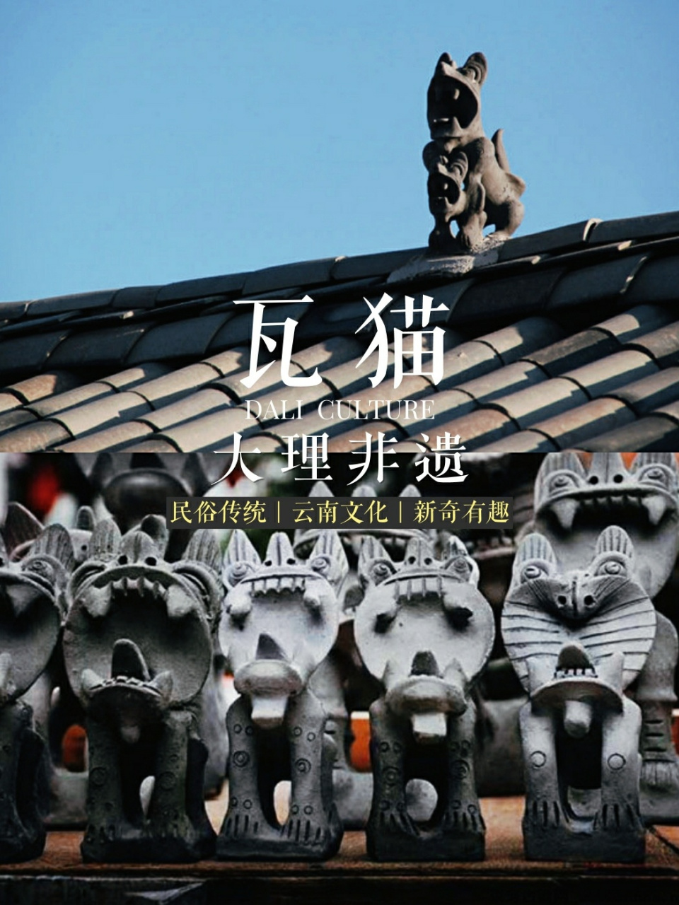 大理非遗|瓦猫93屋顶上的旧时光守望者 来大理旅游,怎么能不了解下
