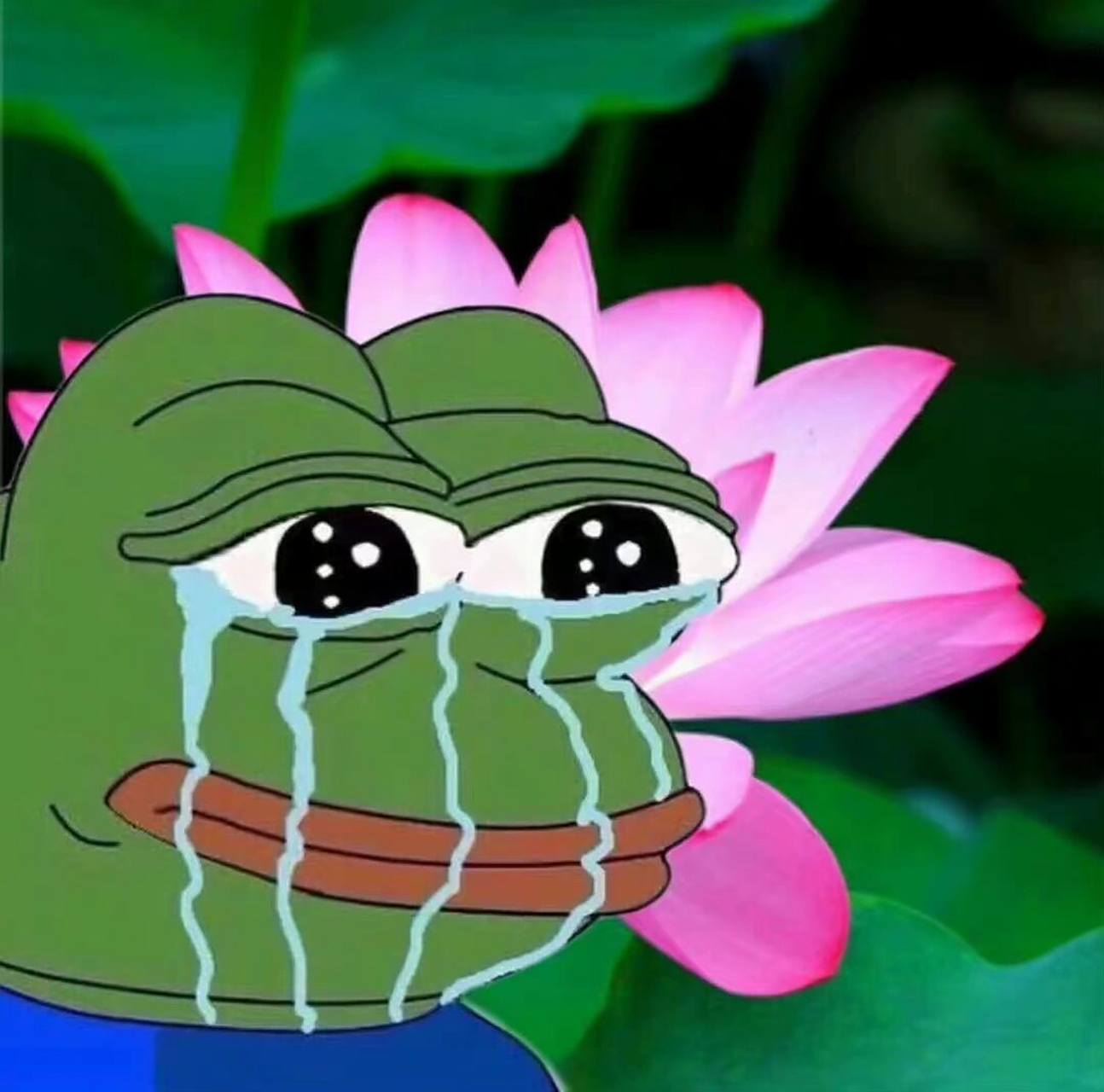 七夕孤寡青蛙90头像   七夕孤寡青蛙90头像