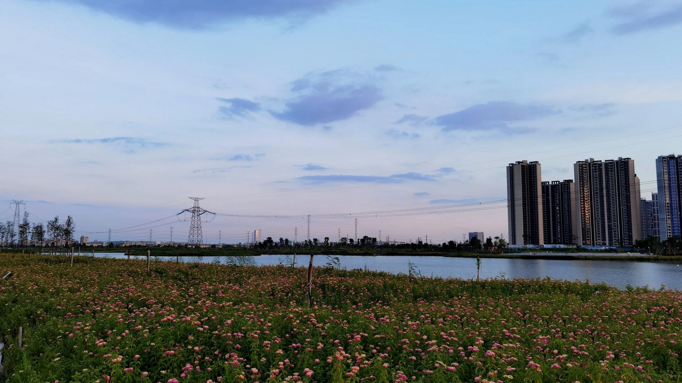 四会肇庆大旺麒麟湖公园 | 休闲娱乐 公园西靠将军山,东临北江,内设有