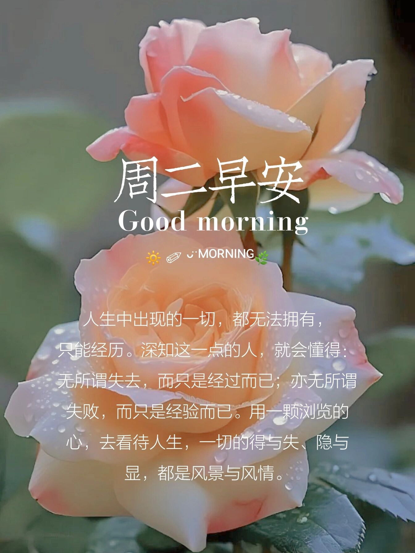 正能量励志图片文案 9677早上好,今天是2023年6月27日,星期二