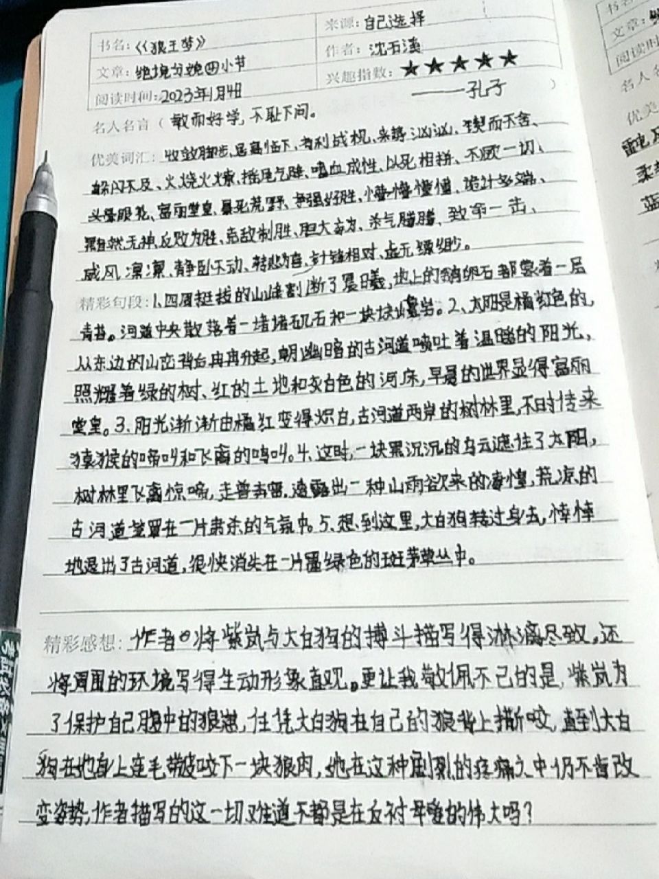 《狼王梦》读书笔记,不好勿喷!96