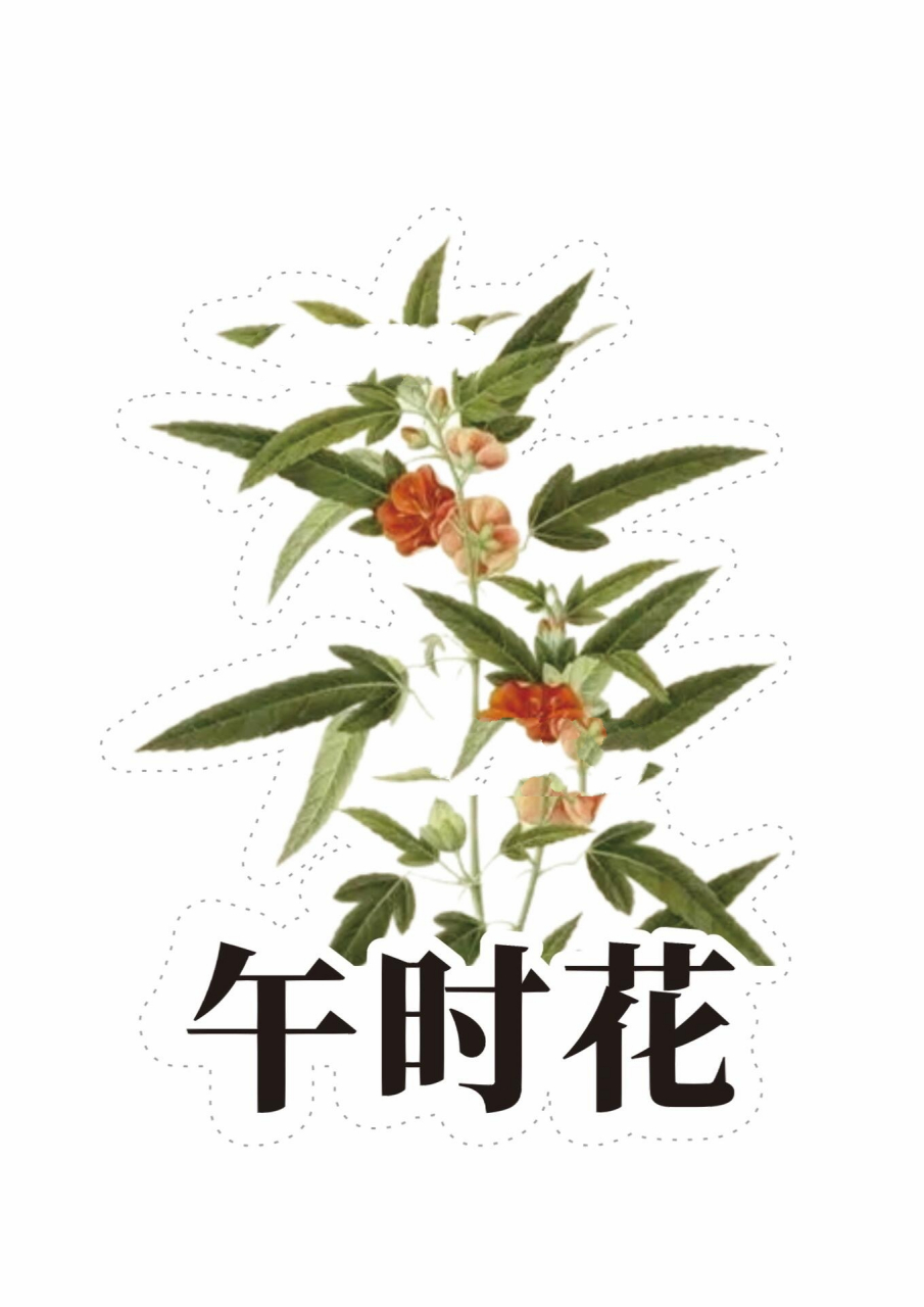 《花钟》公开课教具99 视导公开课准备上这篇课文 熬夜制作了这套