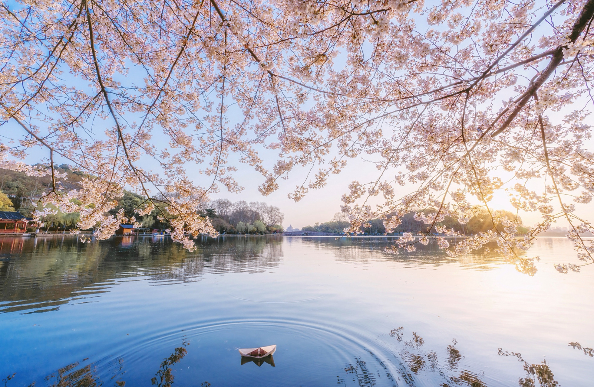 西湖十景之首"苏堤春晓"最佳机位在哪 "苏堤春晓"在南宋时就被列为西