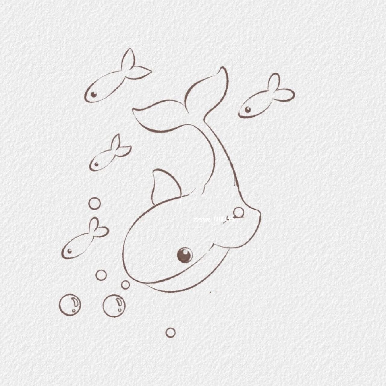 简笔画鲸鱼 海里图片