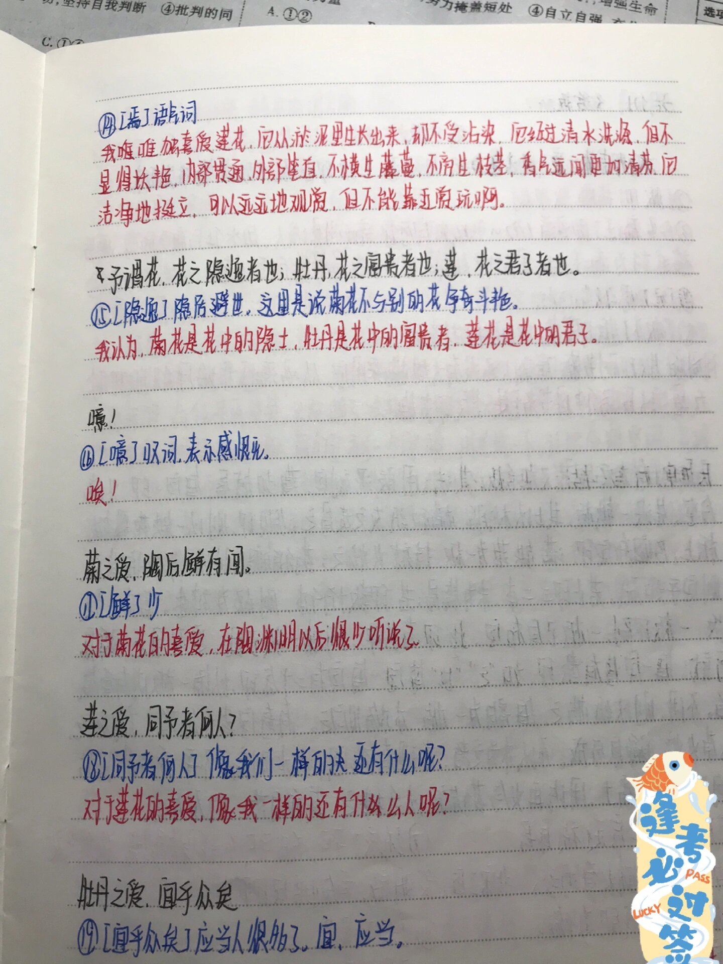 七下预习《爱莲说》翻译笔记979797