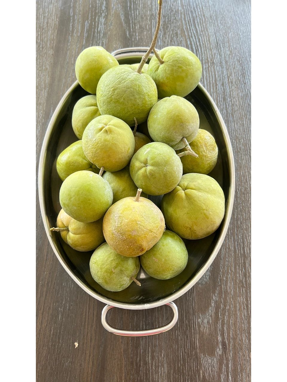 冰激凌果 (white sapote) 堪稱樹上的