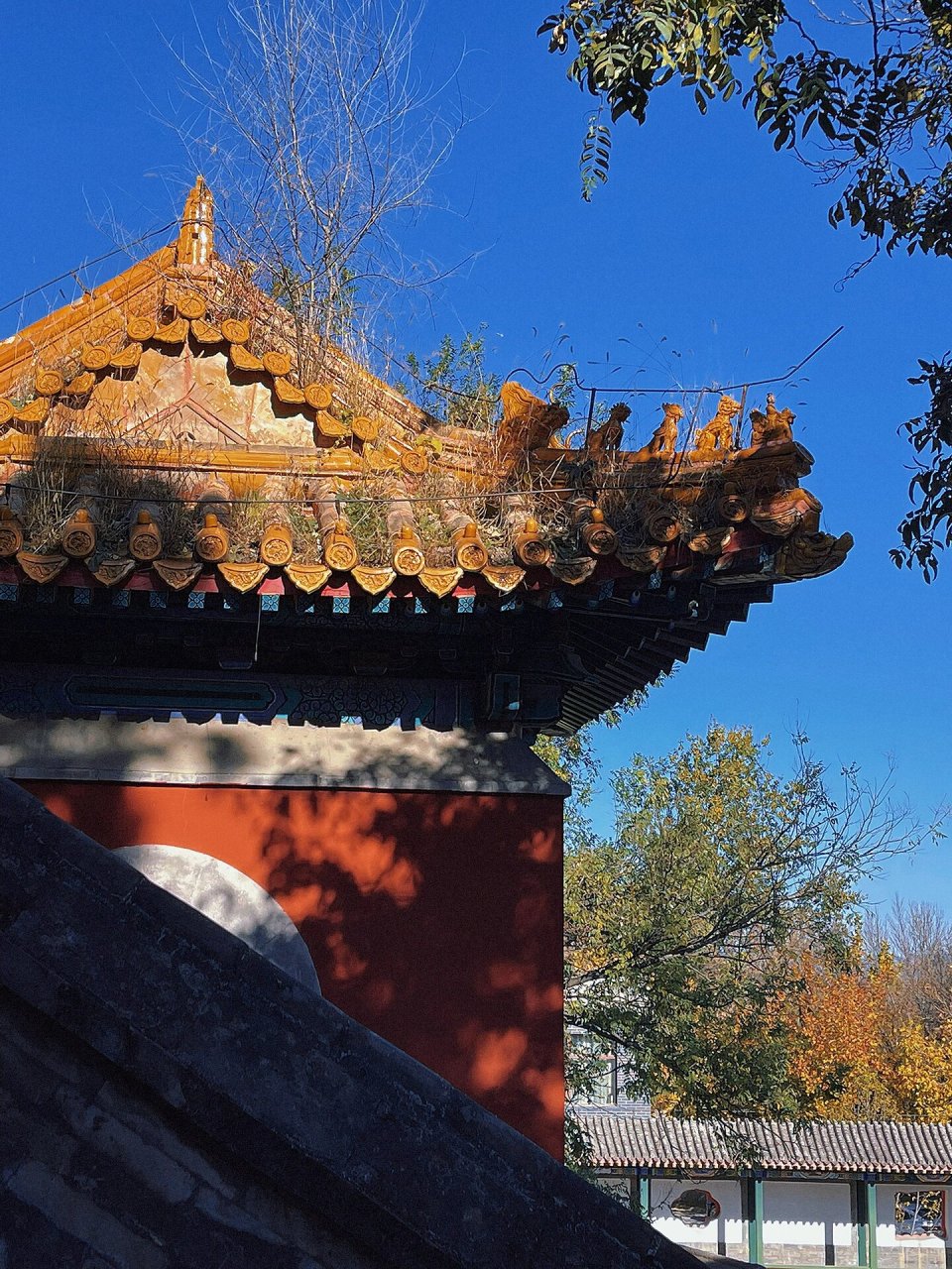 北京最难约的古迹 - 黑龙潭龙王庙丨市保 黑龙潭及龙王庙,位于北京市