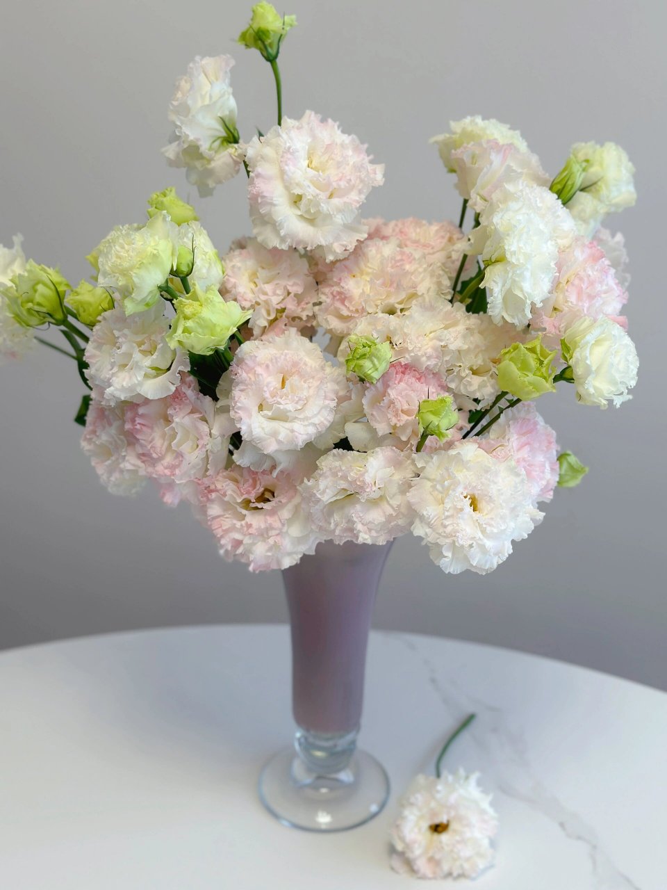 带你每天认识一种花材230/冰淇淋洋桔梗 波浪卷边 花头比普通洋桔梗大