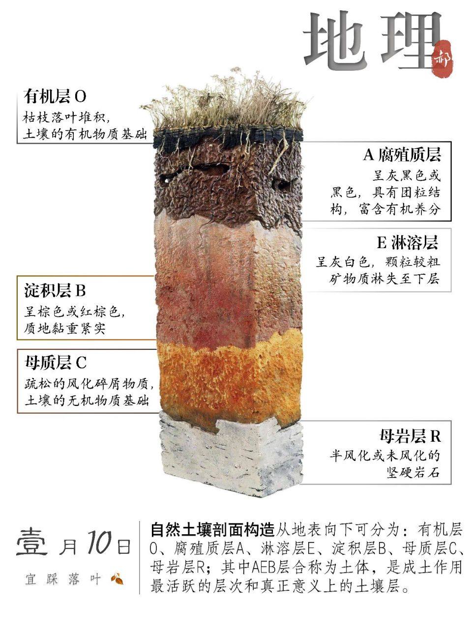 其中aeb层合称为土体,是成土作用最活跃的层次和真正意义上的土壤层