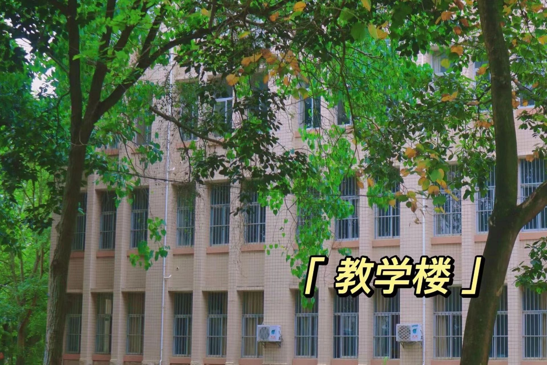 广西工贸职业技术学校图片