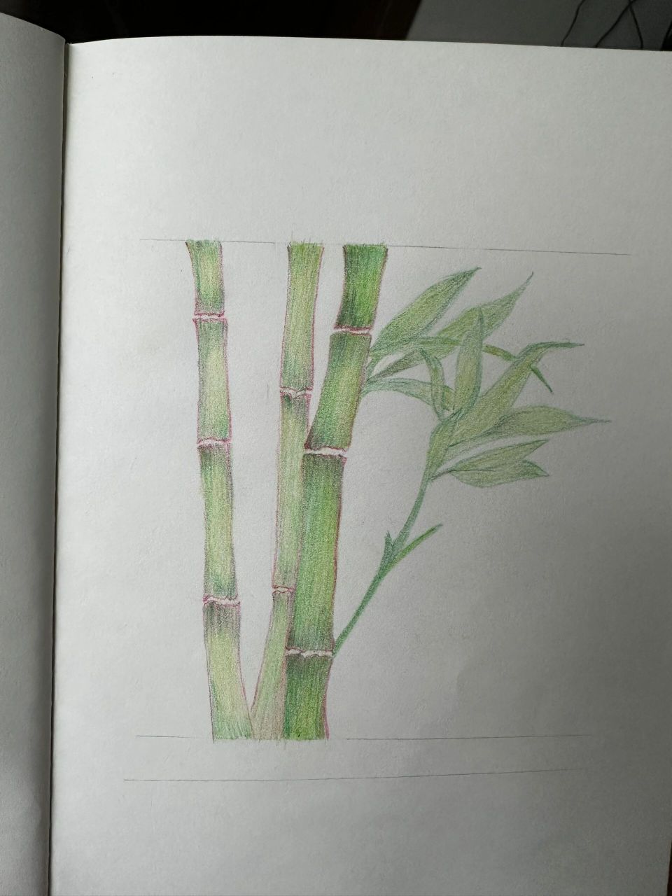 临摹彩铅竹子 放下的笔难得拿起来,拿起来的笔难得放下去,又画了个