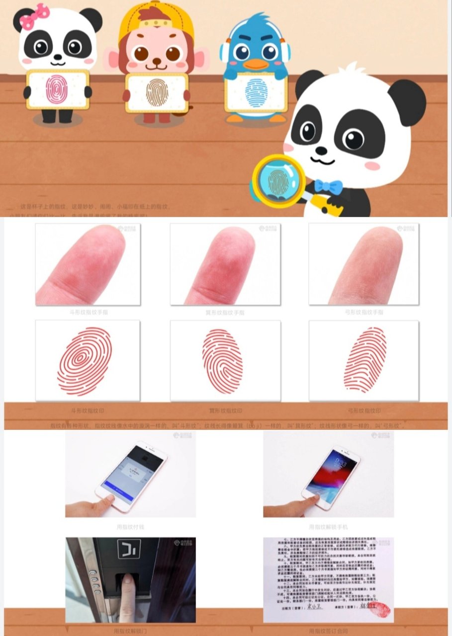 认识三种指纹的类型,了解指纹的作用. 2.
