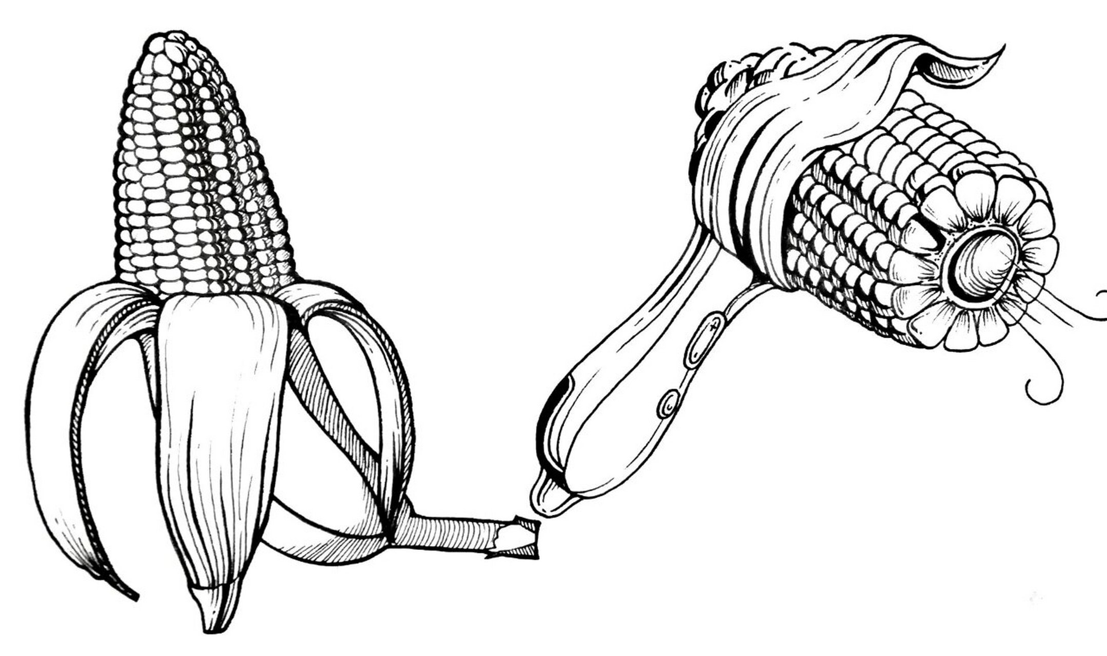 同构图形 图形设计课程作业,一组玉米同构图形 图片为针管笔原创手绘
