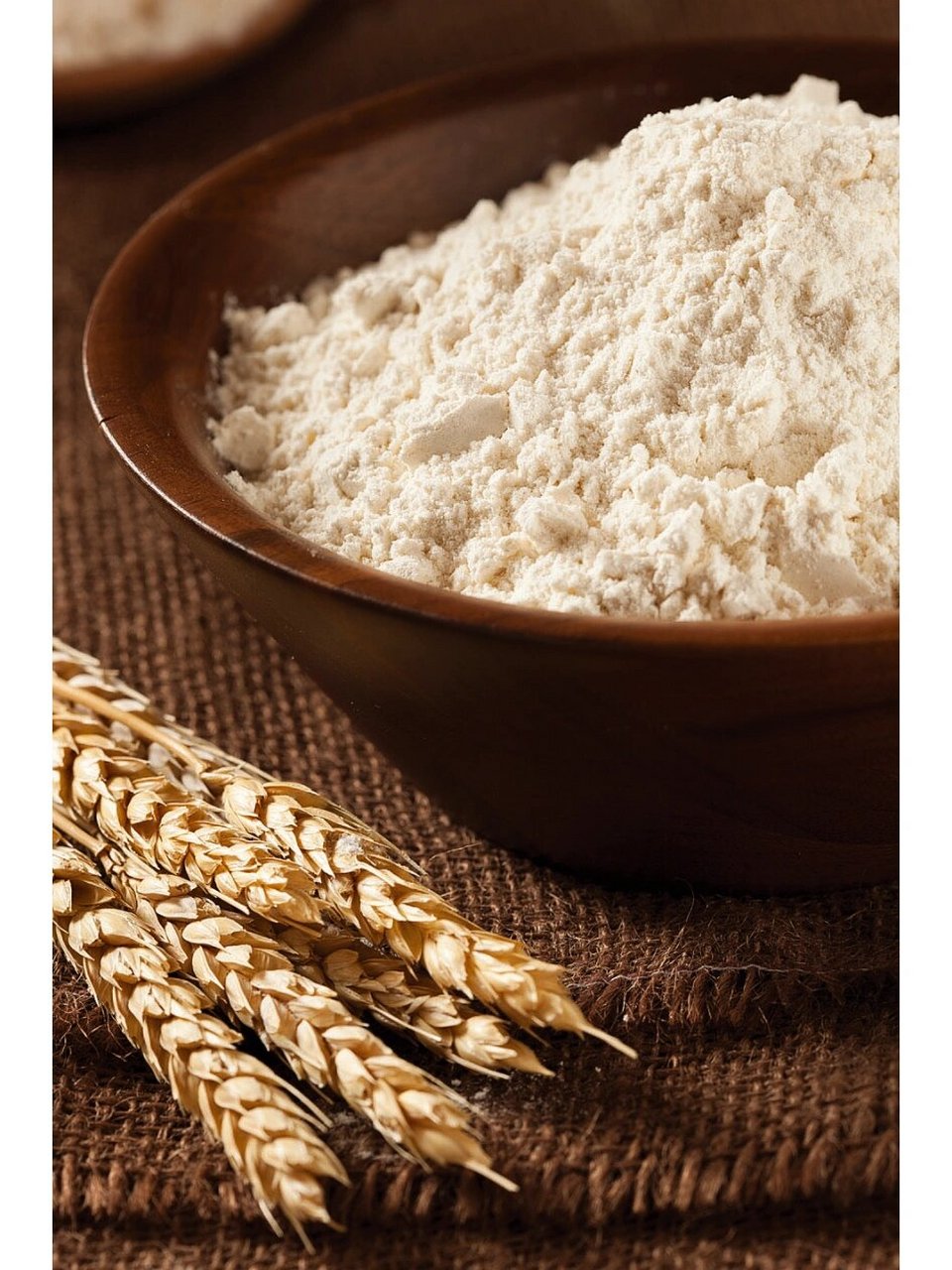 世界上古老小麦品种spelt斯佩尔特小麦面粉 viron 玮颂法国顶级面粉9